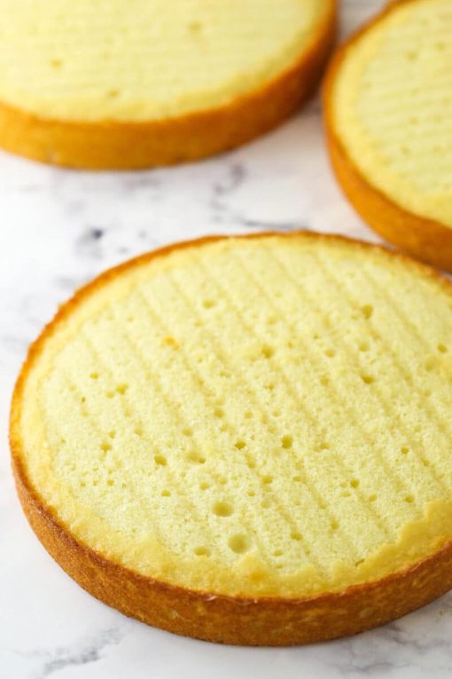 Bánh Bông Lan Mềm Mịn