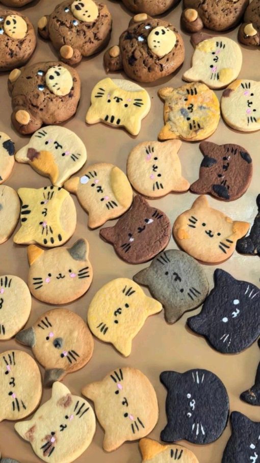 Bánh quy hình mèo handmade cute xinh xắn